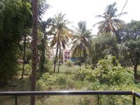 Balcony 2