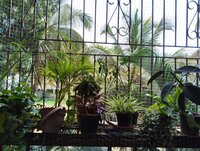 Balcony 1