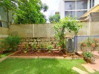 Garden 1