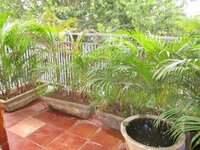 Balcony 1