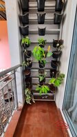 Balcony 1