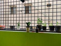 Balcony 2