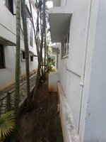 Garden 1