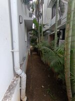Garden 1